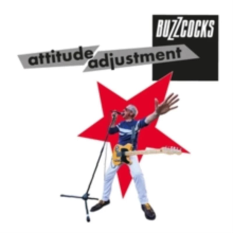 Attitude Adjustment Vinyl