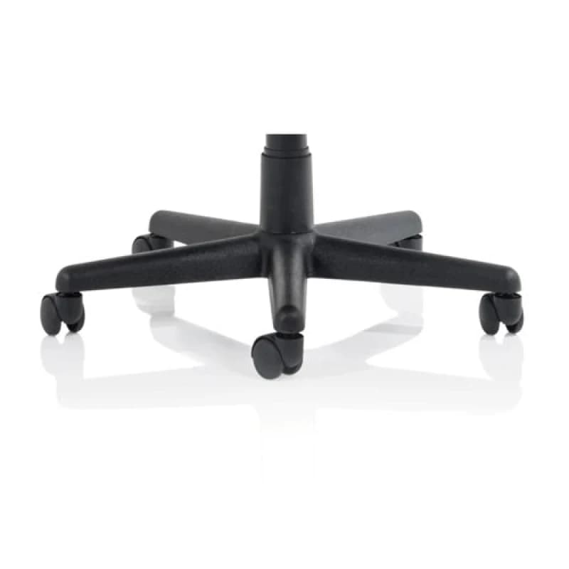 Dynamic Nylon 5-Star Base NYLONBASE