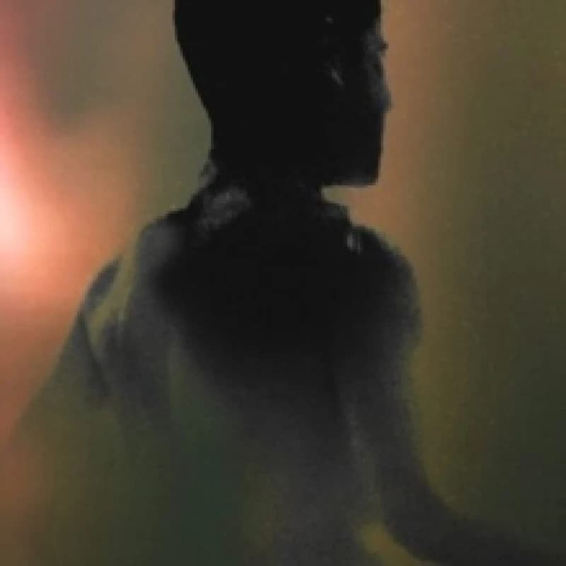Raeon Vinyl