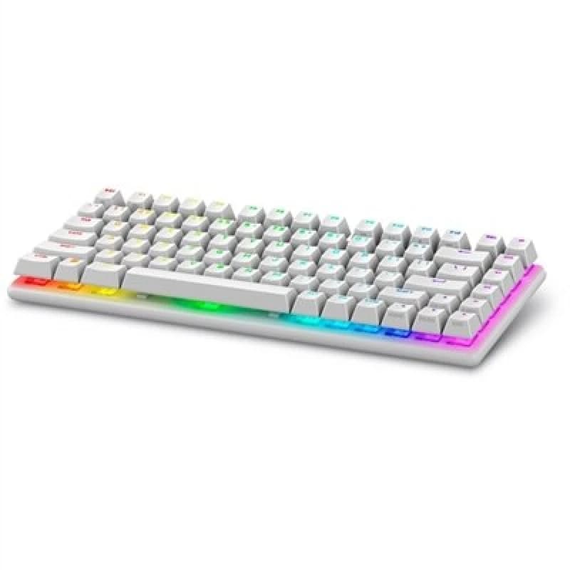 Dell Alienware Pro Wireless Gaming keyboard USB + RF Wireless + Bluetooth White PRO-KB-W-WW