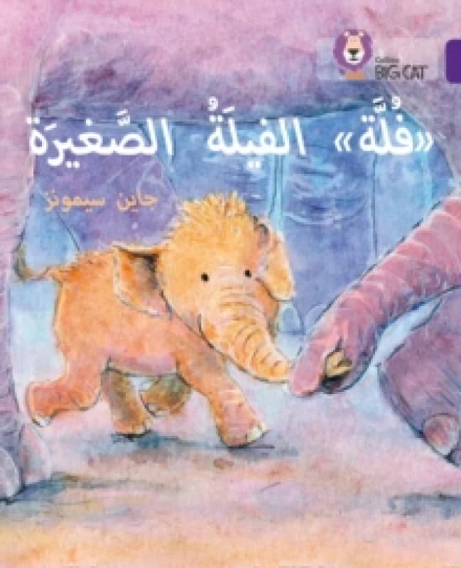 Jane Simmons Fulla, the Small Elephant Book Multi unisex