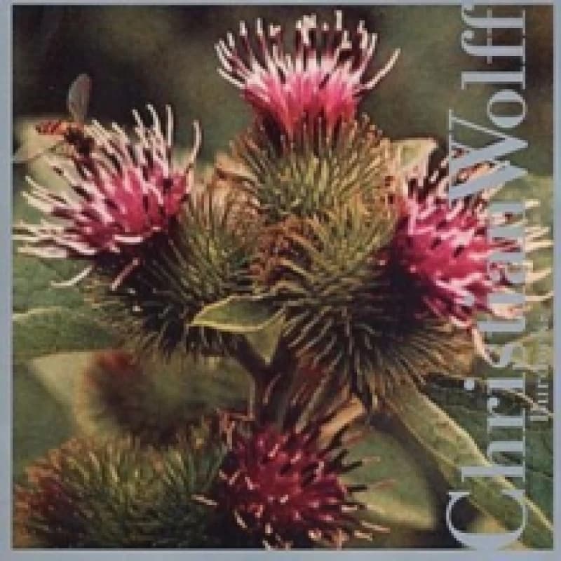 Burdocks CD / Album