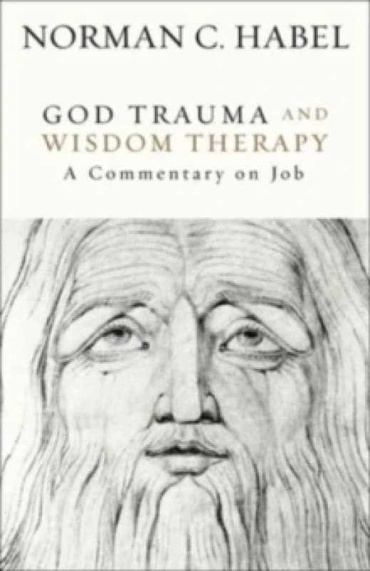 God Trauma and Wisdom Therapy : A Commentary on Job Hardback