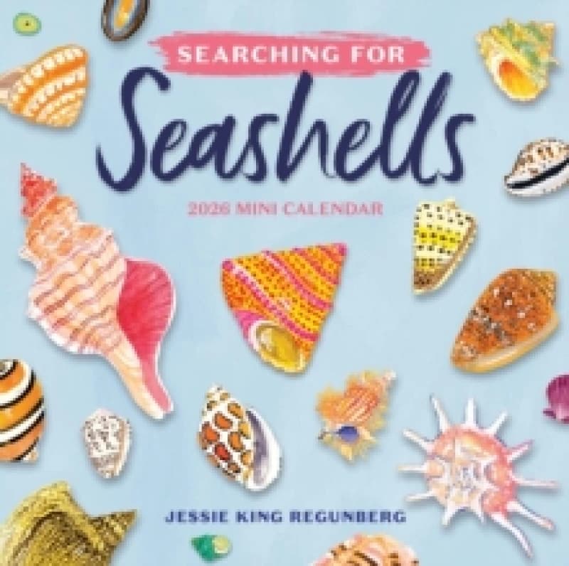 Searching for Seashells Mini Wall Calendar 2026 Calendar