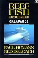 reef fish identification galapagos