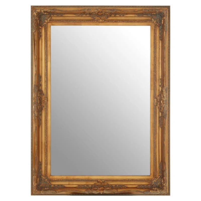 Premier Housewares Brussels Baroque Rectangular Antique Wall Mirror Gold