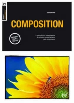 Composition by David Prkel Paperback