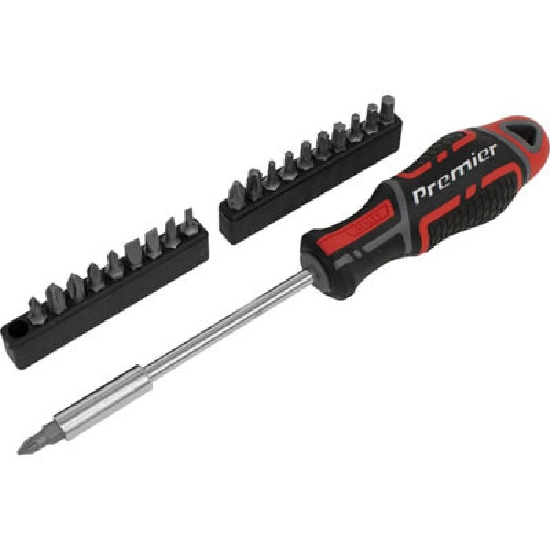 Loops 21 PACK Universal Screwdriver & Bit Set - Magnetic Hex Socket Head - All Types Multi