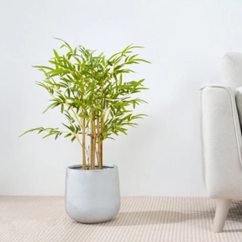 MCC Direct Artificial Fake Bamboo Tree Plant with Plastic Planter Pot 80cm Multi