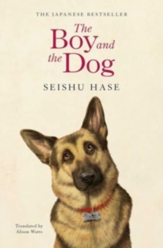The Boy and the Dog Paperback / softback