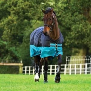 Mio Turnout Lite - TURQ/BLK EXC