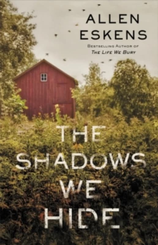 The Shadows We Hide Paperback / softback