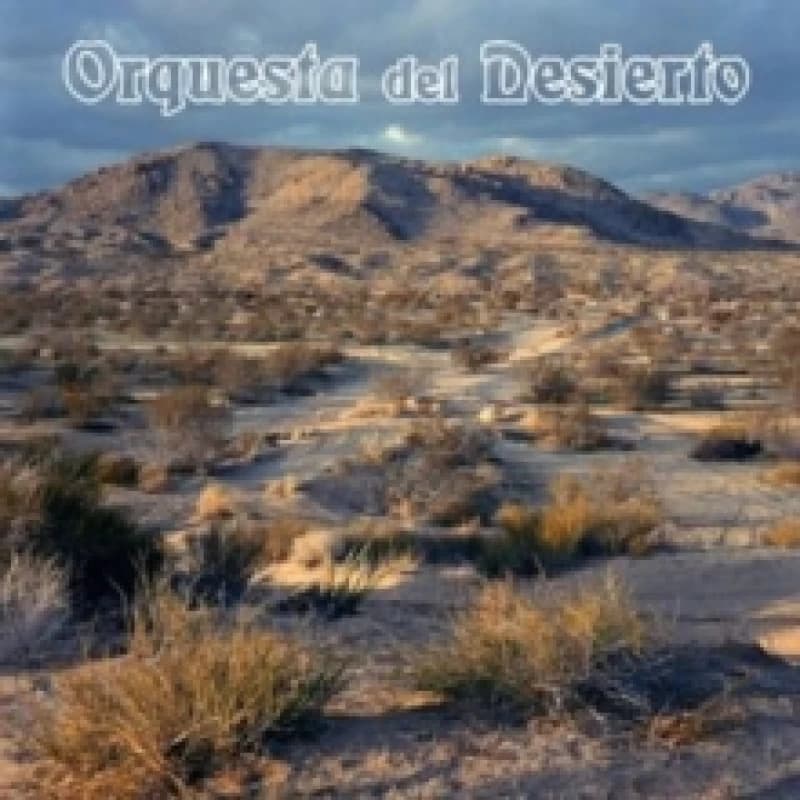 Orquesta del desierto Vinyl
