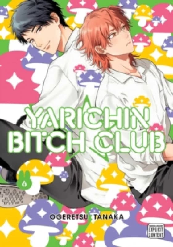 Yarichin Bitch Club, Vol. 6 Paperback / softback