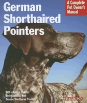 german shorthaired pointers