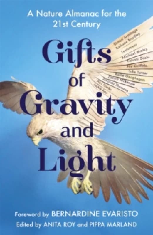 Gifts of Gravity and Light Paperback / softback
