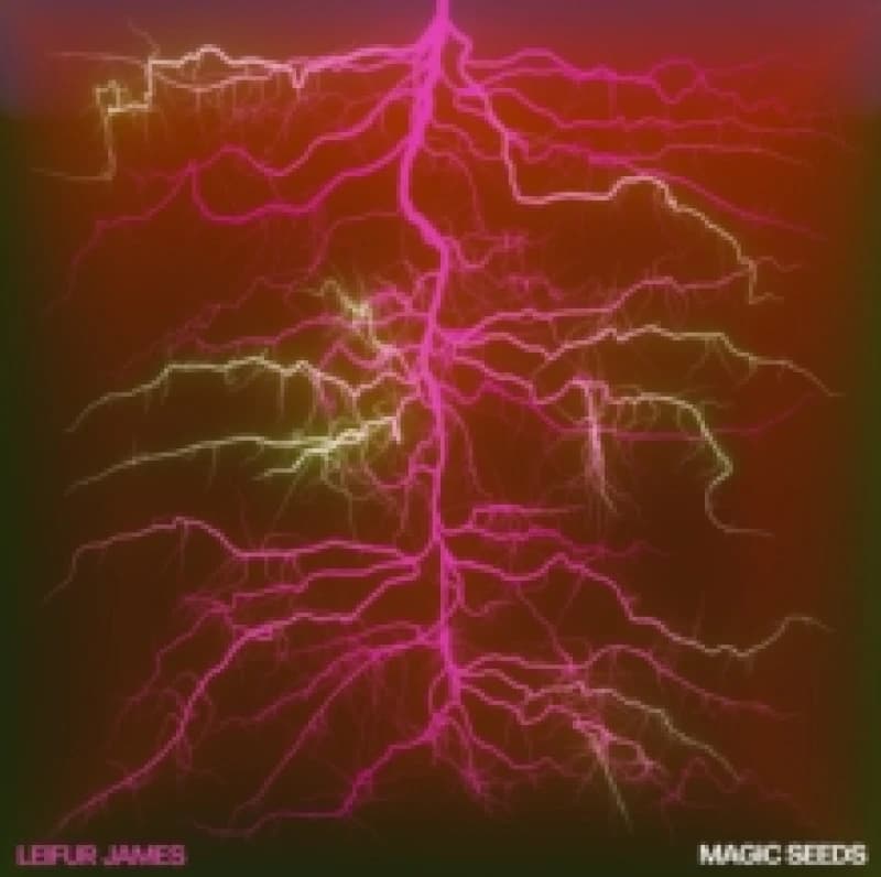Magic Seeds Vinyl