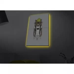 4570MDACT-066 Multicolor Decorative LED Lighted Canvas Painting