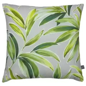 Ventura Cushion Cactus