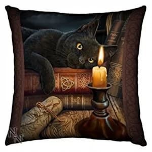 Witching Hour Black Cat Soft Feel Cushion