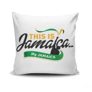 JKRLNT-9 Multicolor Cushion
