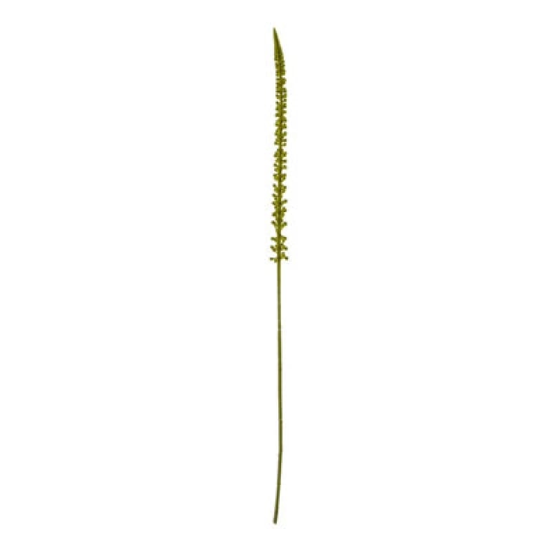 Hill Interiors Eremurus Stem Artificial Plant Green (One Size)