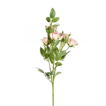 Spray Of Pink Roses