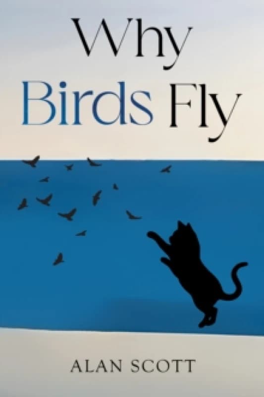 Why Birds Fly Paperback / softback