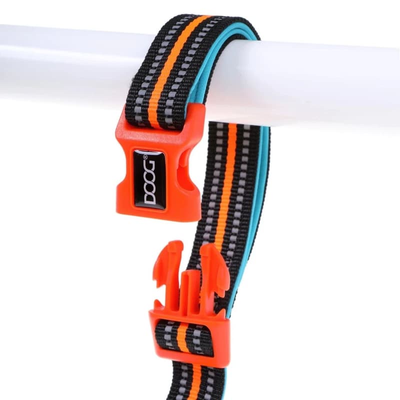 DOOG Neon Lead (Clip It) Beethoven Dog Leads LEADBEET-L Blue 40075018000