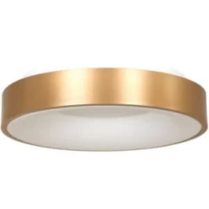 Sienna Ring Sled Cylindrical Ceiling Light Gold Matt, Plastic White