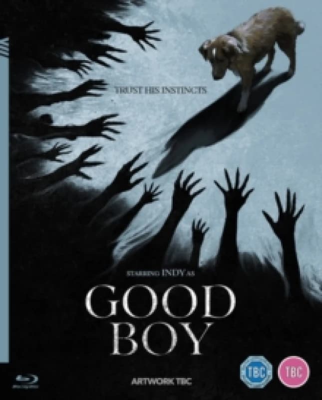 Good Boy Bluray 5063894000032