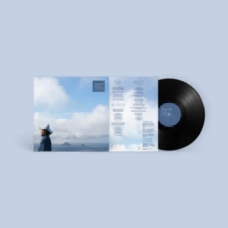 Idiot Check Vinyl