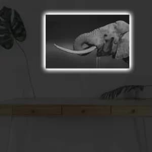 4570DHDACT-165 Multicolor Decorative LED Lighted Canvas Painting