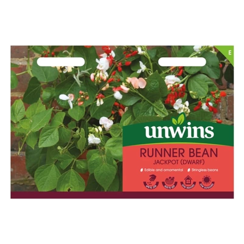 Unwins Runner Bean (Dwarf) Jackpot