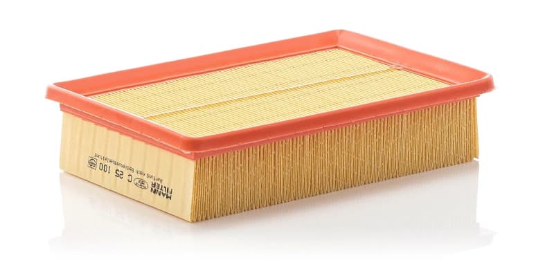 Air filter MANN-FILTER C 25 100