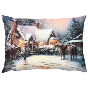 A50903 Multicolor Cushion