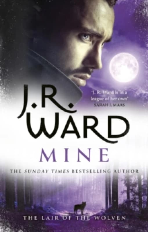 Mine. Paperback. By J R Ward Books