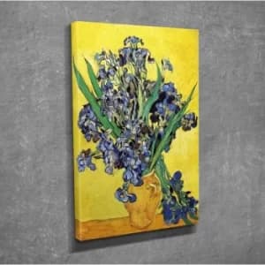 DC307 Multicolor Decorative Canvas Painting