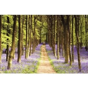 Woodland Path Maxi Poster