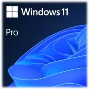 Win Pro 11 64-bit Eng Intl USB