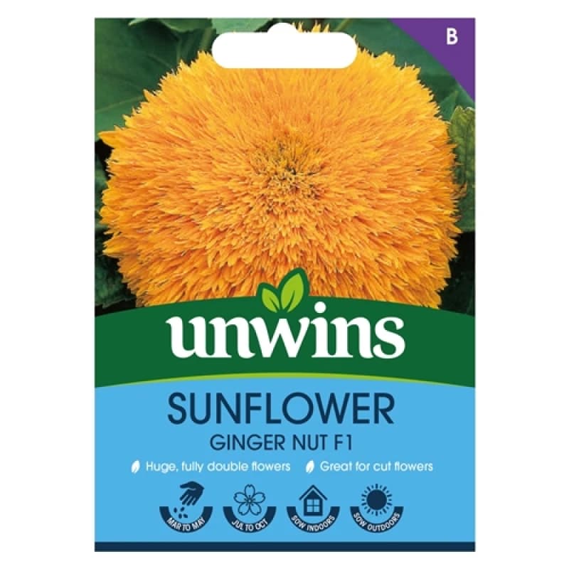 Unwins Sunflower Ginger Nut F1