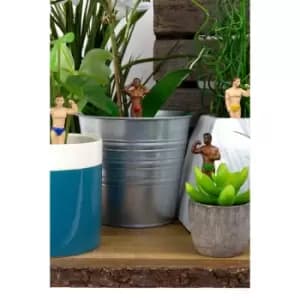 Novelty Hunk Planters