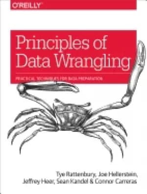 principles of data wrangling practical techniques for data preparation