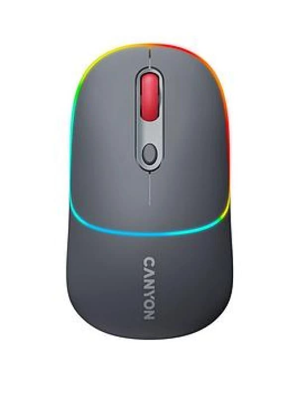 Canyon MW-22 mouse Universal Ambidextrous RF Wireless + Bluetooth Opti