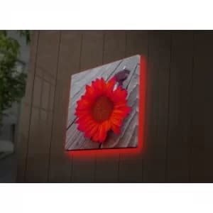 4040DACT-50 Multicolor Decorative LED Lighted Canvas Painting