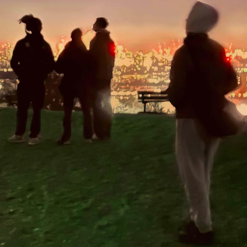 Secret Life Vinyl