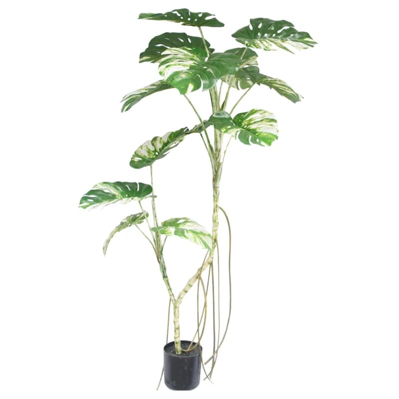 N/A 180cm Variegated Monstera Realistic Artificial Tree