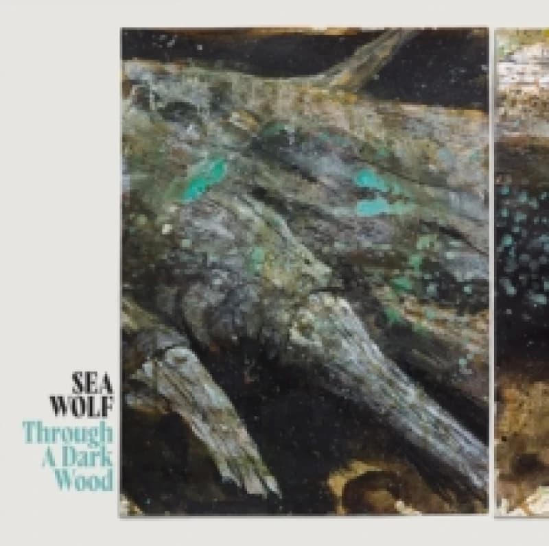 Through a Dark Wood (Deluxe Edition) Vinyl