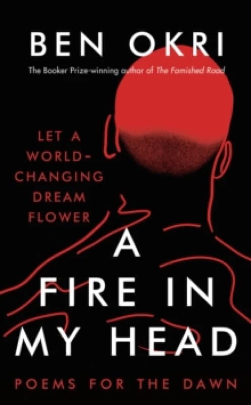 A Fire in My Head Paperback / softback