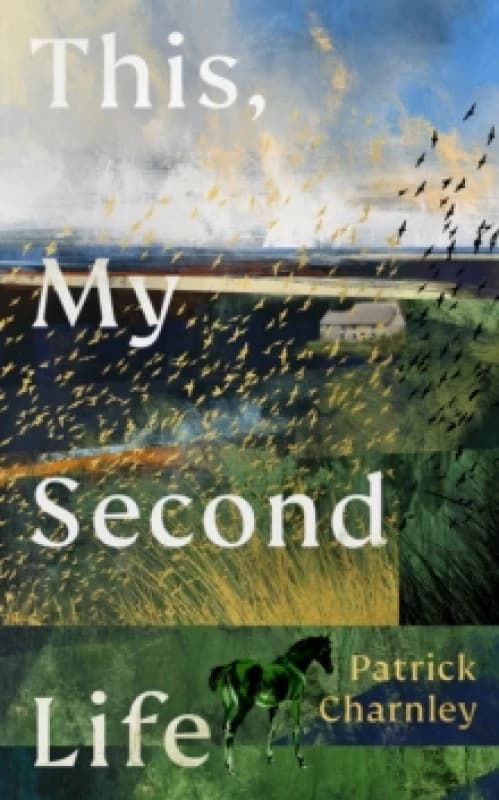 This, My Second Life Hardback